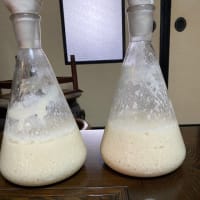 ようやく元が完成しました。