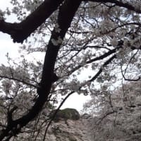ラメントフルコンプ 徒然diary ラメントフルコンプ 徒然diary