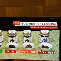 静岡第一テレビ「隠れ茶」「食べるお茶・発酵ほろに」ご紹介