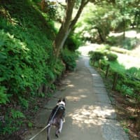 エアコンとヒータ―の関係