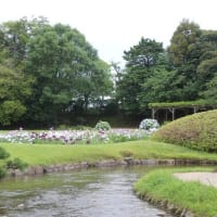 岡山後楽園～2025年6月15日