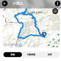 夏将軍様お手柔らかに