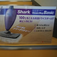 掃除にいいかも！