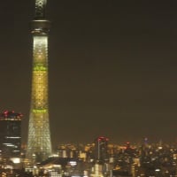 日向坂46の虹開催記念特別ライティング8