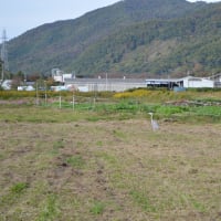 https blog goo ne jp korede193 e 04844132e905f32ea2f9003289fa4e64