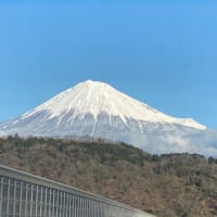 静岡へ富士山がきれいでした（船ネット）