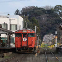 2025　さくら　小湊鉄道　Vol.18