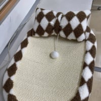 猫の日に先立って
