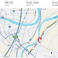 ＪＯＧ備忘録【2025年5月5日(月)】