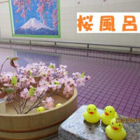 桜風呂です！（お風呂の設備もイベントも充実！）