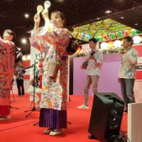博多どんたくで三線　2025。。。2日目