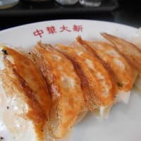 茅ヶ崎市　中華大新　茅ヶ崎店　五目焼きそば、餃子