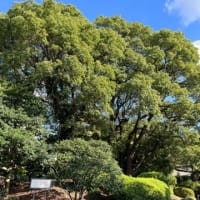 入園無料
