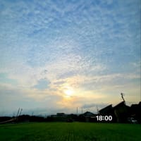 7月6日日曜日　