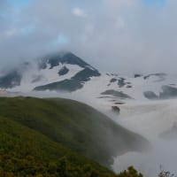 6月に立山黒部アルペンルートに向かう