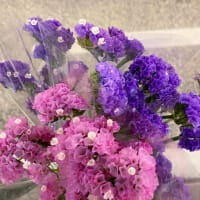 銀座本店のお花達ーーーッ！！！
