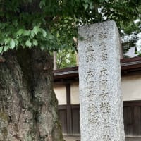 お寺の菩提樹の花