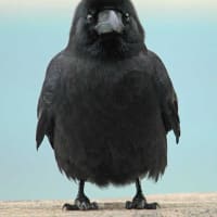 横浜のニュースって・・・