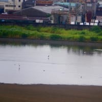 台風までが