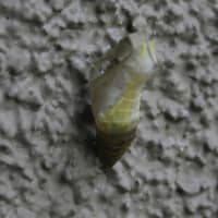 幸福なひととき