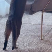 来週も頑張る