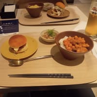 今年の記念旅行