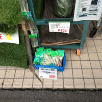 庭リフォーム～人工芝編～パート2