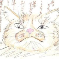 暑い‼