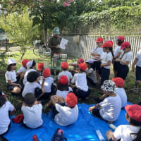 東久留米市内小学校の川の学習
