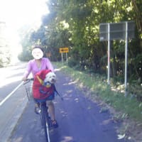 楽しい週末
