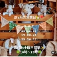 🐖🏡6月19.20.21🚩