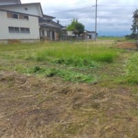 草刈り大作戦、３日目