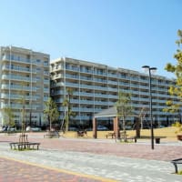 マンション購入、何階が良い？