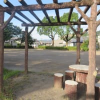 朝の散歩（2025/7/7）・・・姶良市加治木町宇曽ノ木川上流方面