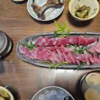 料理大好きな琉守が大きなヨコワをお造りに(#^.^#)