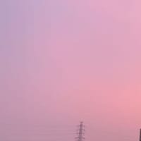 ピンクのお空