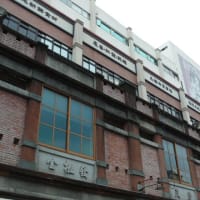 台湾10万歩行　１４　登山友と廸化街