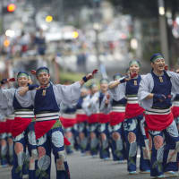 「上總組」原宿よさこい