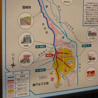 徳島セギは、眠らない
