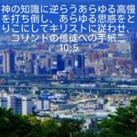 パラノイア(paranoia)