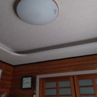 LDEの照明器具
