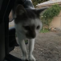 おぃおぃ！