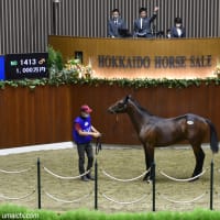 JRA競走に勝ったセール出身馬紹介(2025/7/5-6､17頭)