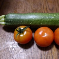 花壇の草取り