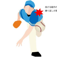 話題の行列 ブエノスアイレス飛行記 | 幹郎 芝山 ドイル