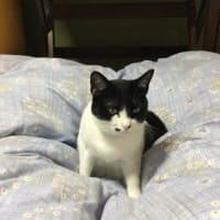 家族記念日