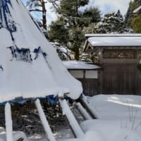 ２０２５年　あけましておめでとうございます。