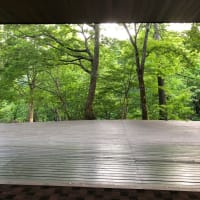 自然主義とは、体で感じたい