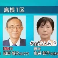 選挙戦は島根と目黒区と江東区に注目 二人の亀井あきこのリベンジなるか。