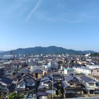 ６月最終土曜日診